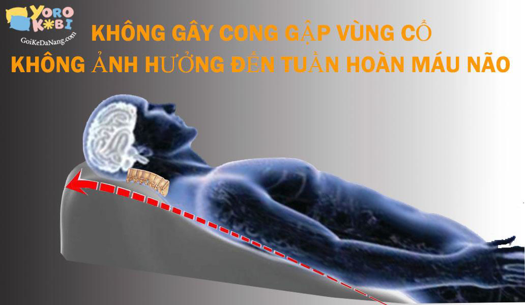 Gối chống trào ngược rất phổ biến ở phương tây