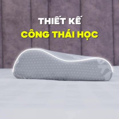 Gối ngủ công thái học