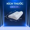 Gối ngủ công thái học size cỡ 30x50cm