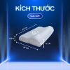 Gối ngủ công thái học size cỡ 40x60cm