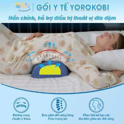 Hình ảnh của Gối kê lưng lõi cứng EPS nắn chỉnh cột sống lưng về đúng đường cong sinh lý, chính Hãng Yorokobi